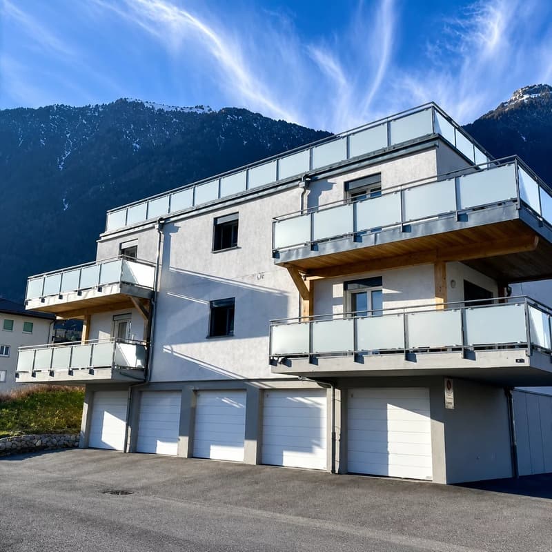 Fully ? Appartement 2.5 pièces avec grand balcon et vue dégagée (6)