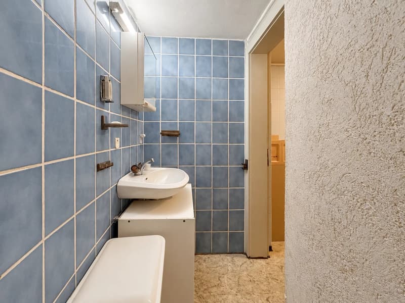Saxon ? Maison villageoise de 6,5 pièces à rénover ou investissement locatif 5,3% de rendement (11)