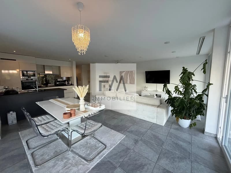 Appartement 4,5 pce de standing, jardin d'hiver et terrasse 300 m2 (1)