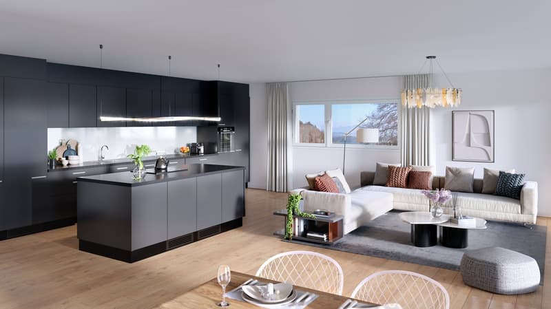 En cours de construction - Petite PPE exclusive de 3 appartements (7)
