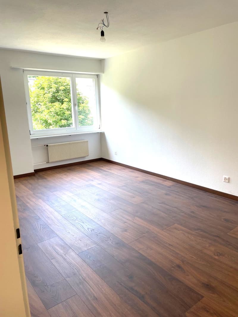 empty room, wooden floor, white walls, window, radiator