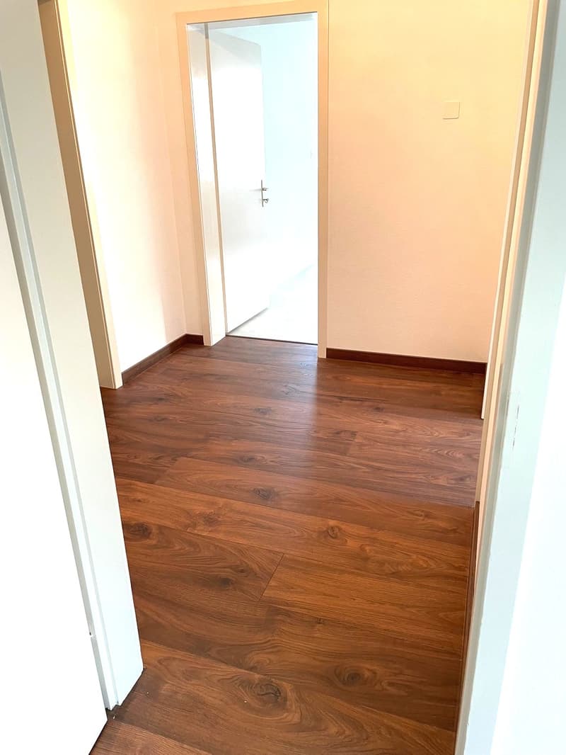 Empty hallway with wooden floors, white walls, and a white door.