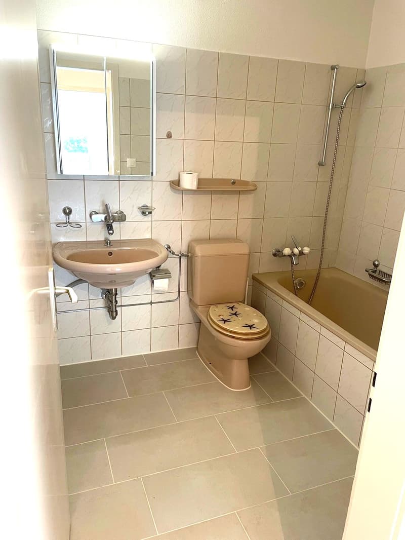 Bathroom with sink, toilet, bathtub, and mirror