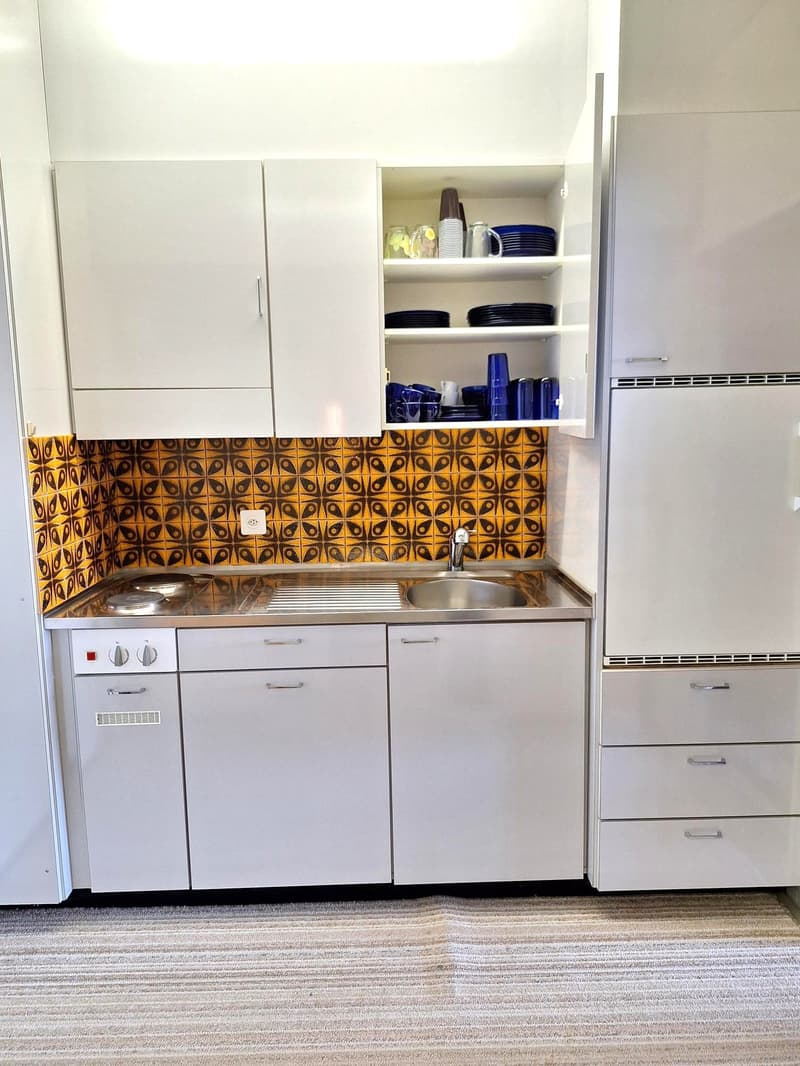 Aussichtsreiche 1,5-Zimmer-Wohnung im 4. Stock (50 m2) (7)