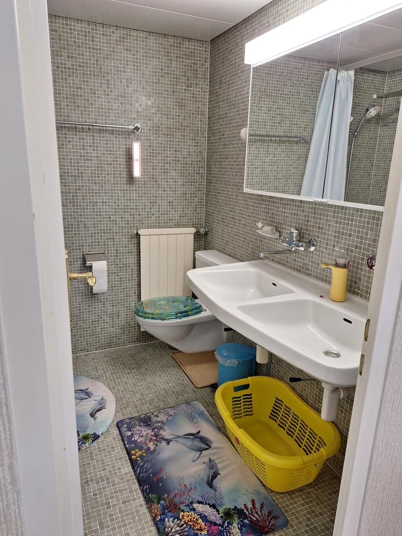 Aussichtsreiche 1,5-Zimmer-Wohnung im 4. Stock (50 m2) (10)