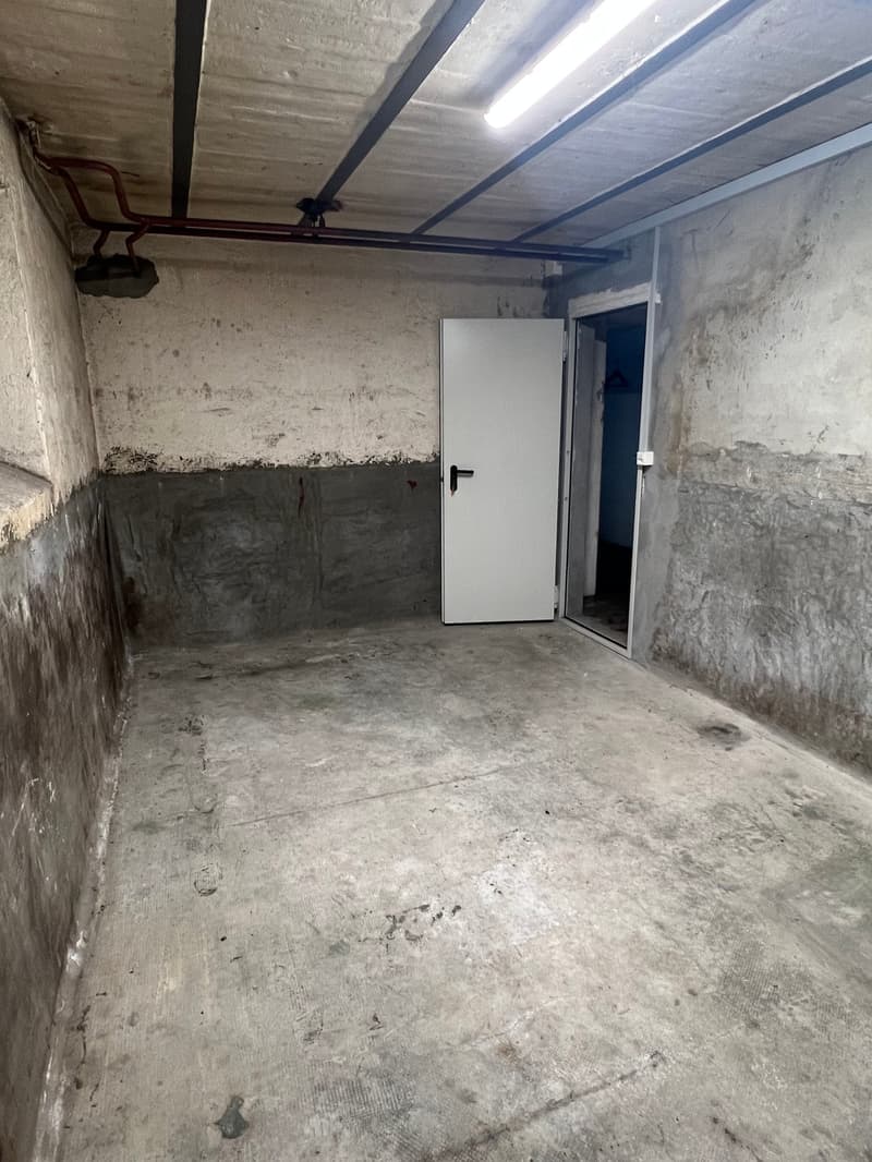 Concrete floor, white walls, ceiling with florescent lighting, white doors, empty room