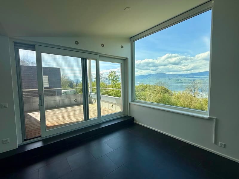 Villa individuelle de 6 pièces avec vue lac et grand volume (3)