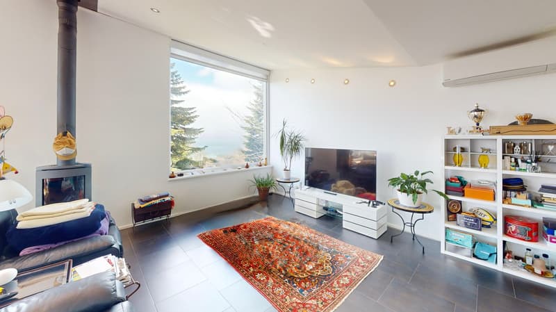 Villa individuelle de 6 pièces avec vue lac et grand volume (2)