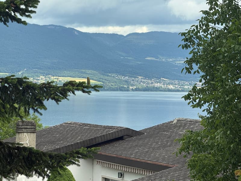 Spacieuse villa bénéficiant de calme et d'une très belle intimité (23)