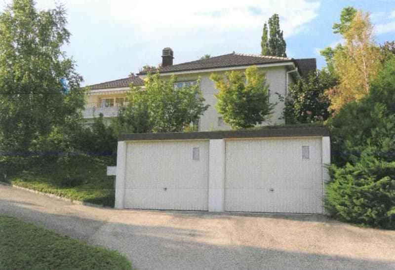 Auvernier (Milvignes) - Magnifique villa individuelle avec dégagement lac et Alpes (4)
