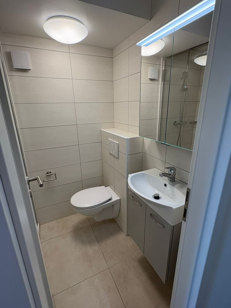St-Blaise - Bel appartement de 4.5 pièces avec vue (6)