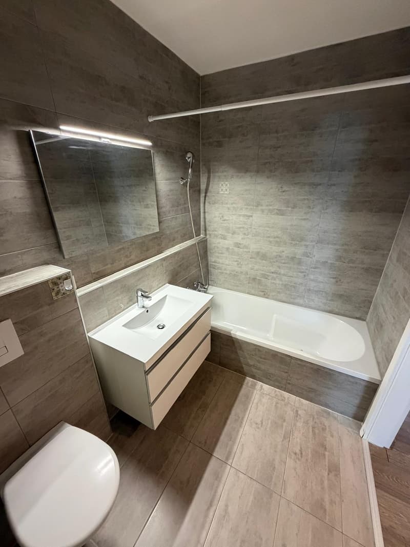 Beau triplex de 4.5 pièces à Perroy,  avec garage (3)
