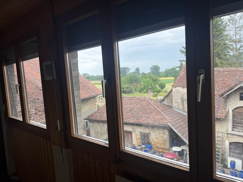 Maison de caractère dans le Bourg du Landeron - A rénover (16)