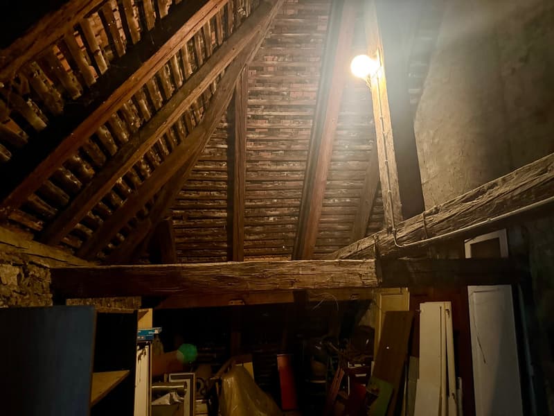 Maison de caractère dans le Bourg du Landeron - A rénover (15)