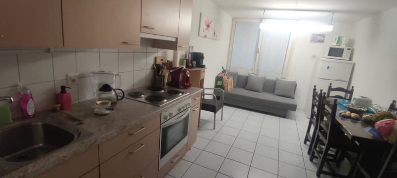 Immeuble de rendement situé au cœur de Fribourg (5)