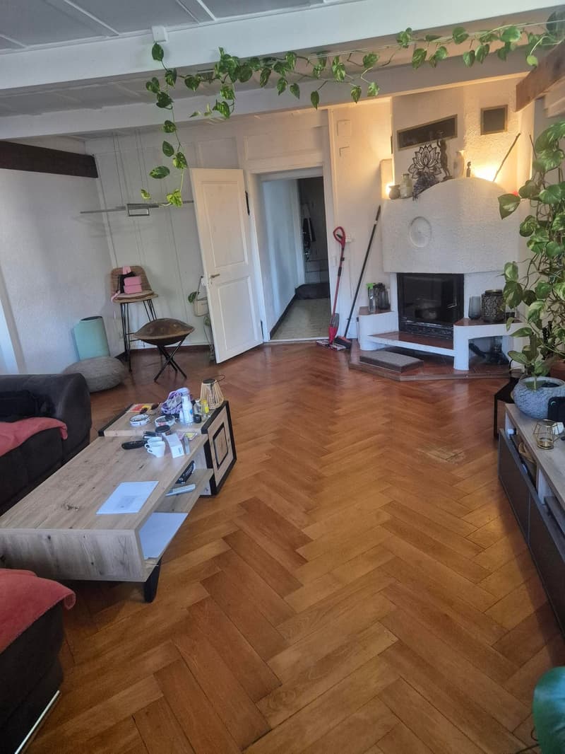 Diesse - Grand 3,5 pièces avec jardin (6)