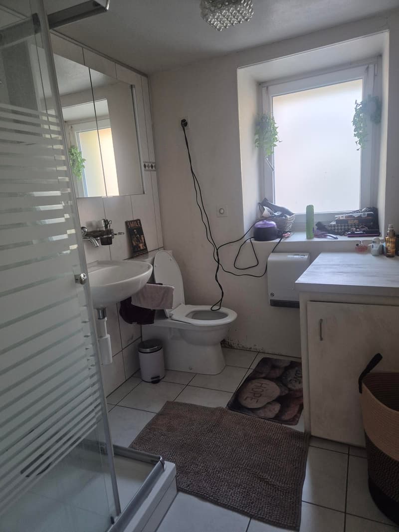Diesse - Grand 3,5 pièces avec jardin (5)