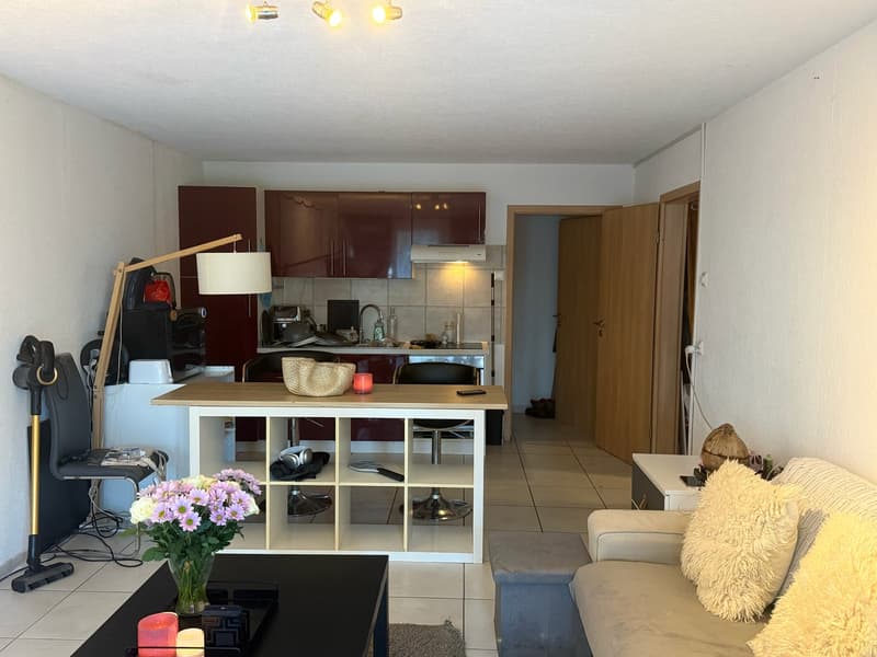 Maison de 2 unités (5.5 & 2.5 pièces) à Laténa, Saint-Blaise (16)