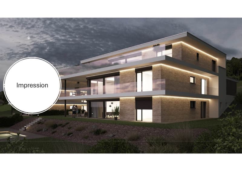 Appartement duplex spacieux de 8 pièces avec possibilités de personnalisation à Hägendorf (2)