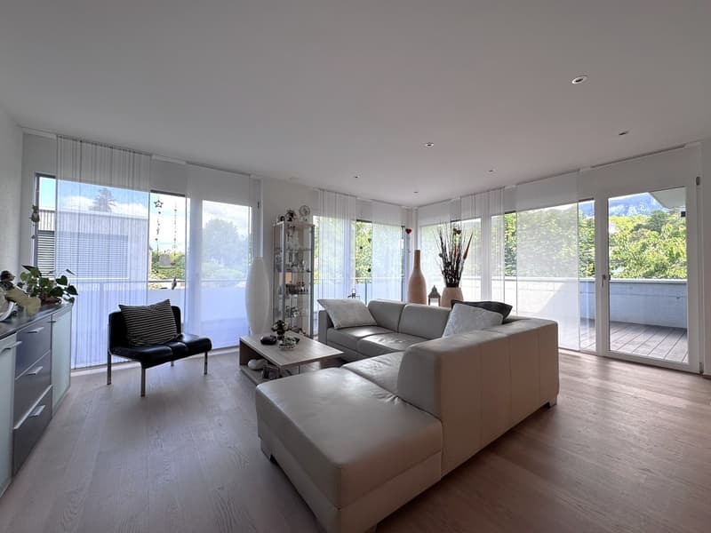 Modernes Einfamilienhaus mit Pool in Solothurn (5)