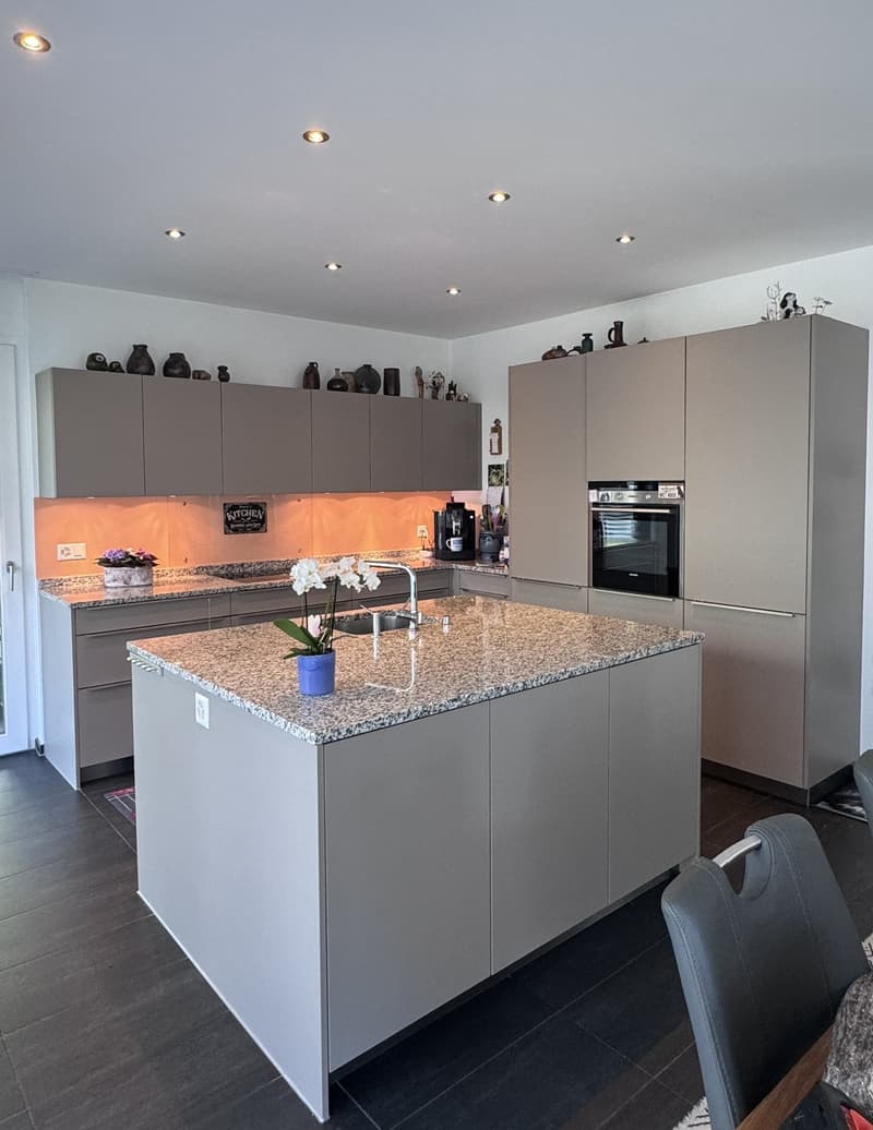Modernes Einfamilienhaus mit Pool in Solothurn (4)