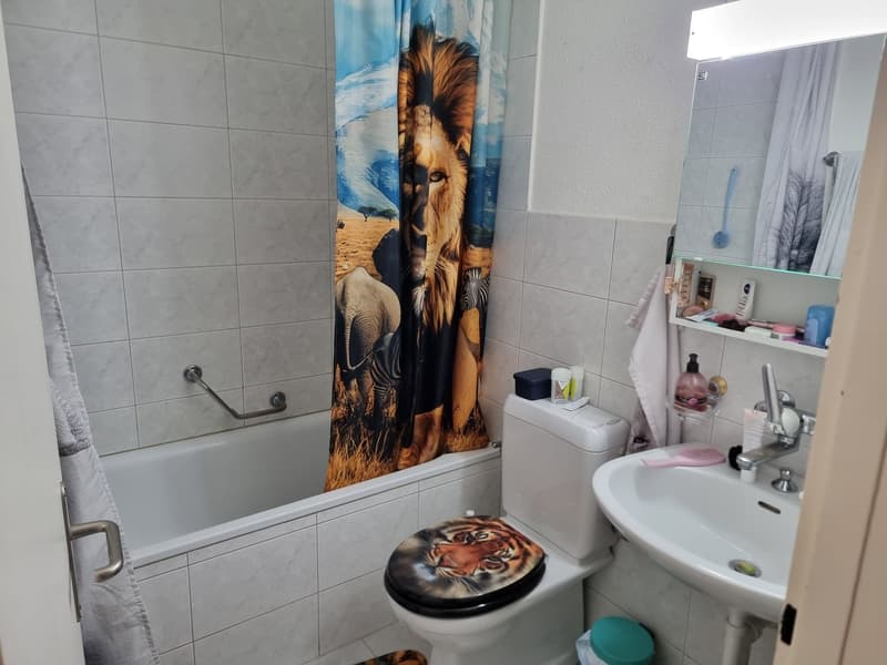 2.5 Zimmerwohnung mit grossem Balkon (6)