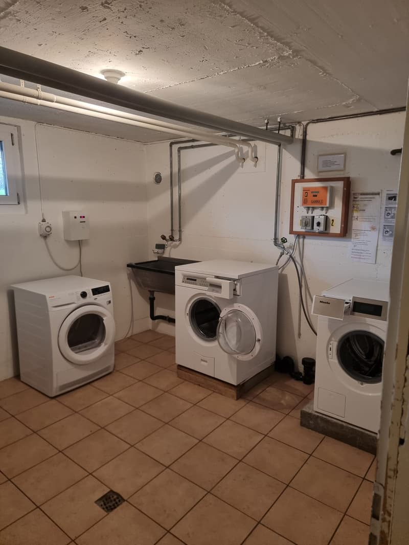 2.5 Zimmerwohnung mit grossem Balkon (12)