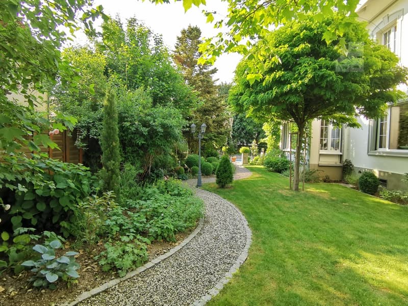 Energievoller Ying- Kiesweg führt durch den Garten
