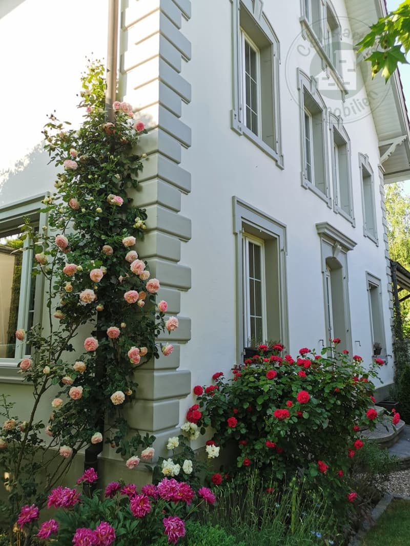Rosenranken schmücken die Fassade