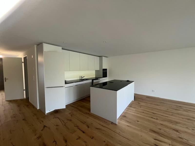 Moderne Küche
