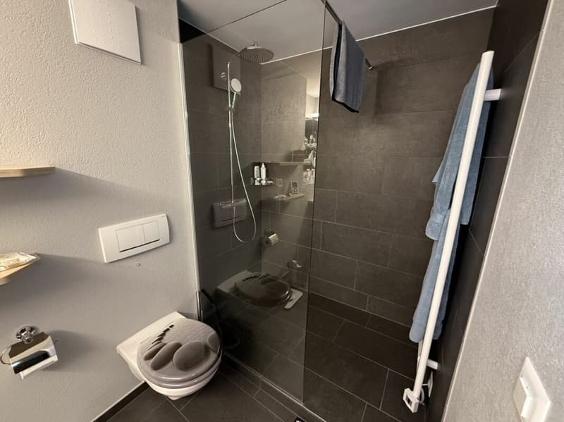Der Eingang zur frei begehbaren. Dusche.