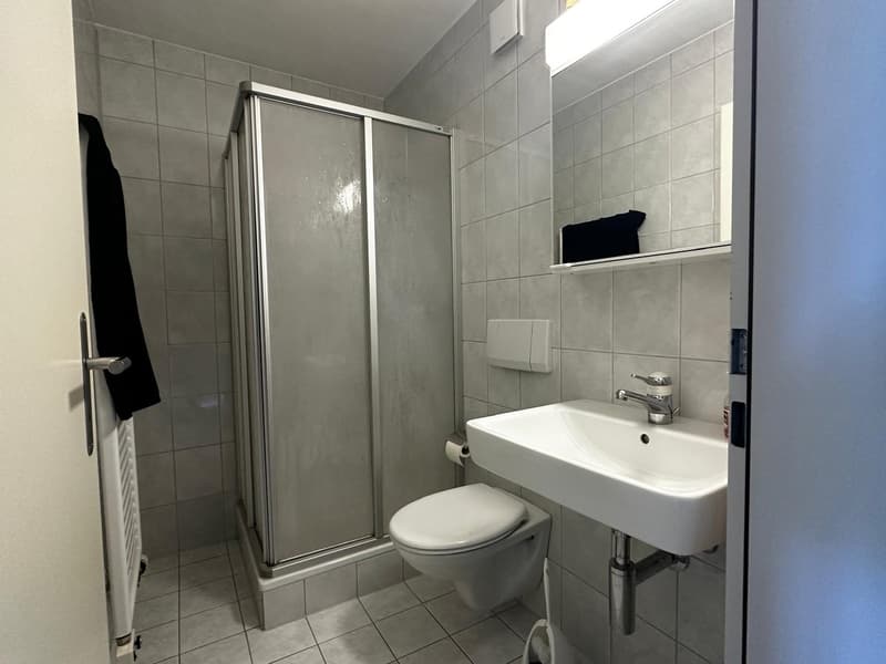 Grosse 4.5 Zimmer-Wohnung mit Balkon in Münchwilen TG (13)