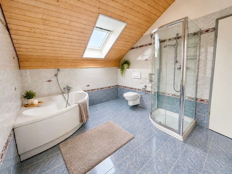 Charaktervolle Liegenschaft mit zwei Wohnungen, angebautem Einfamilienhaus, grossem Garten und Pool (6)