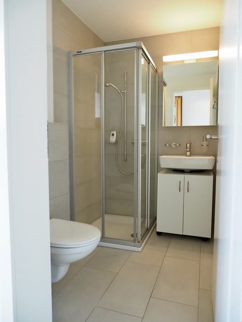 modern bathroom with toilet, shower enclosure, sink with cabinet, mirror