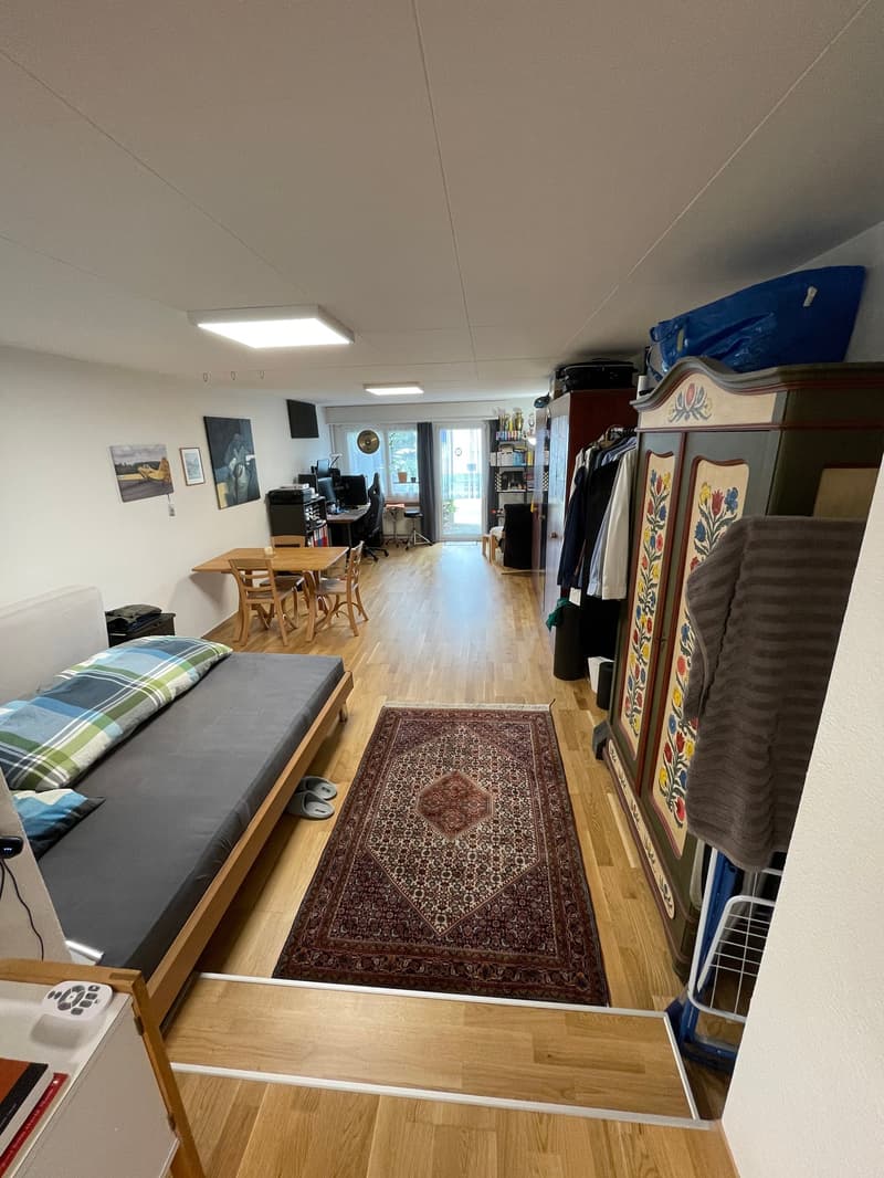 Gemütliches Studio mit Terrasse an ruhiger Lage in Langnau im Emmental (5)