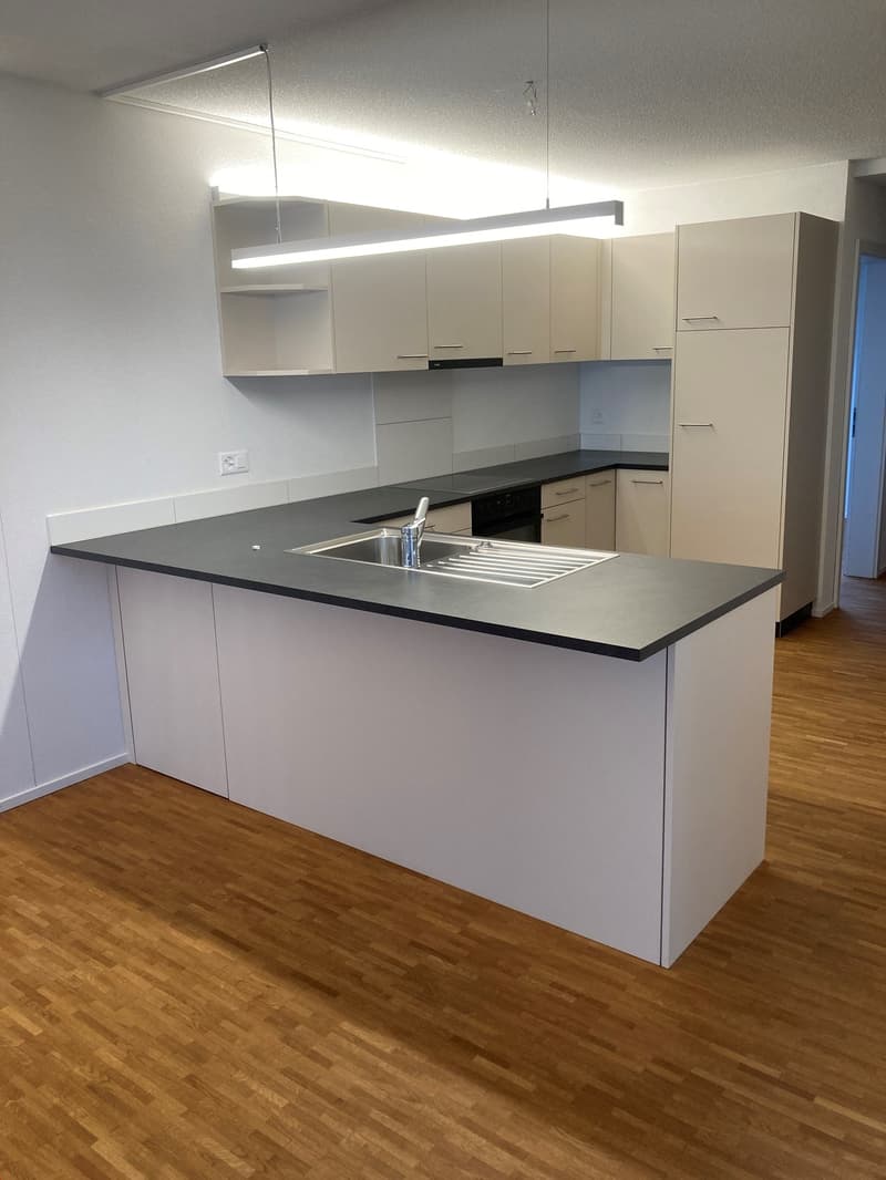 3.5-Zimmer mit WOW-Faktor (11)