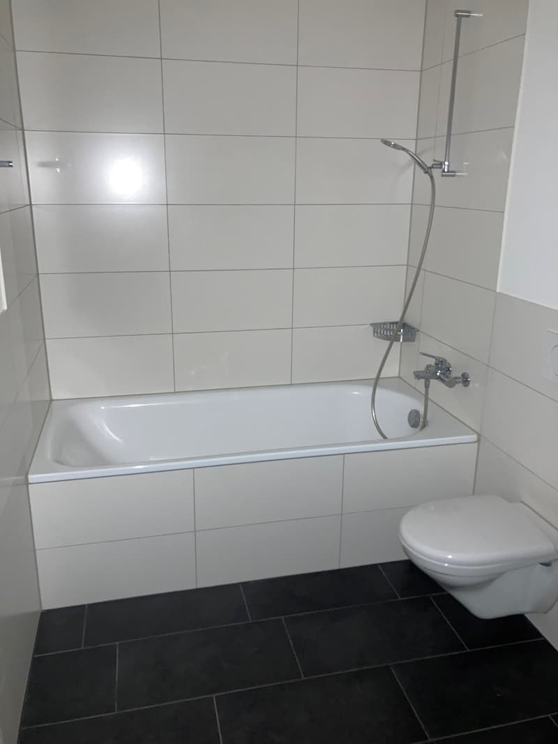 3.5-Zimmer mit WOW-Faktor (17)