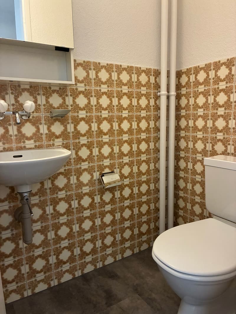 Gemütliche 3.5-Zimmer-Wohnung mit Balkon in Moosseedorf (4)