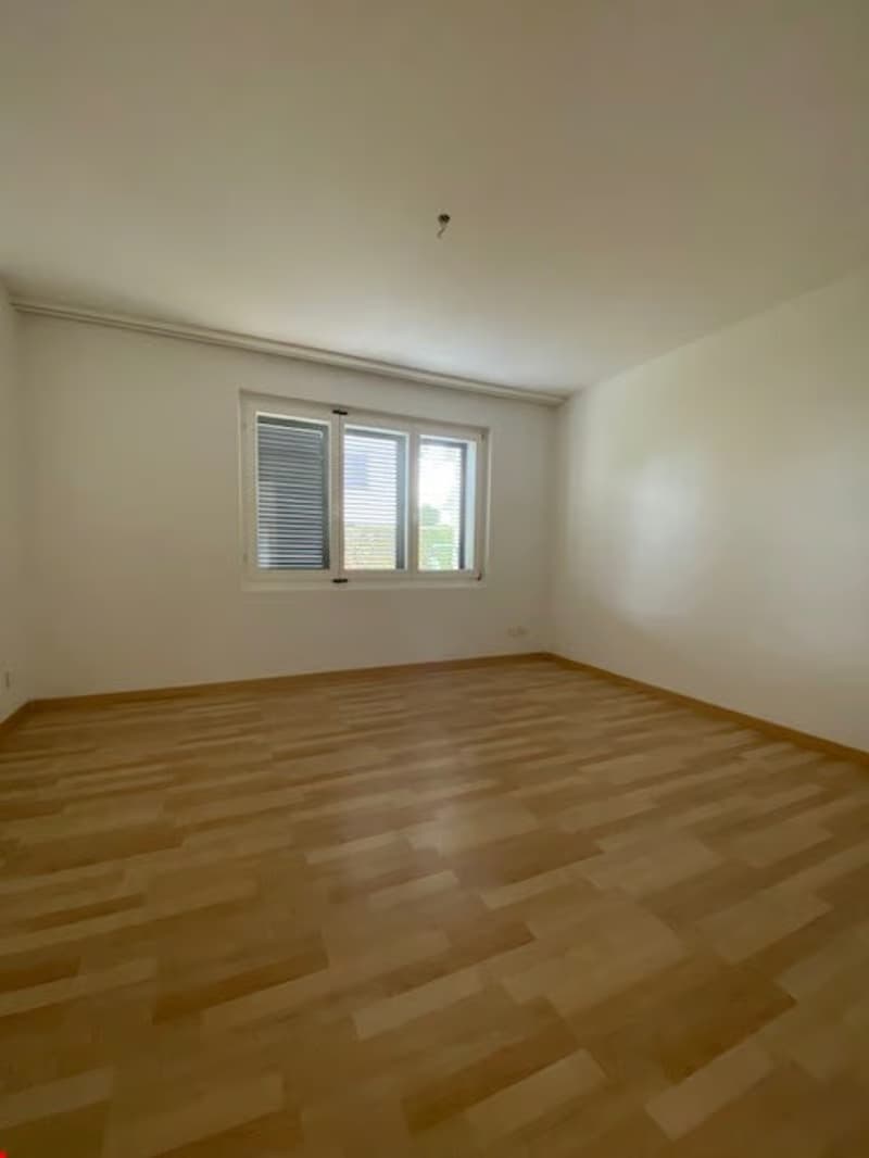 Schöne, ruhige 2½ Zimmer Wohnung (6)