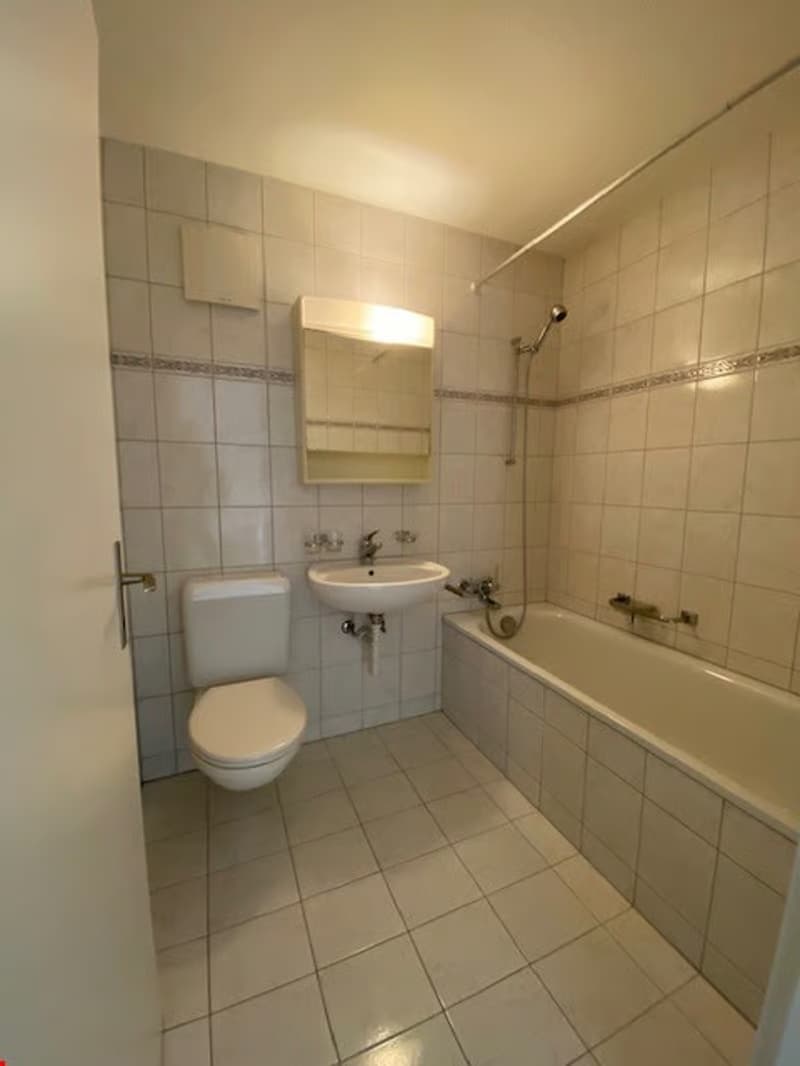 Schöne, ruhige 2½ Zimmer Wohnung (8)