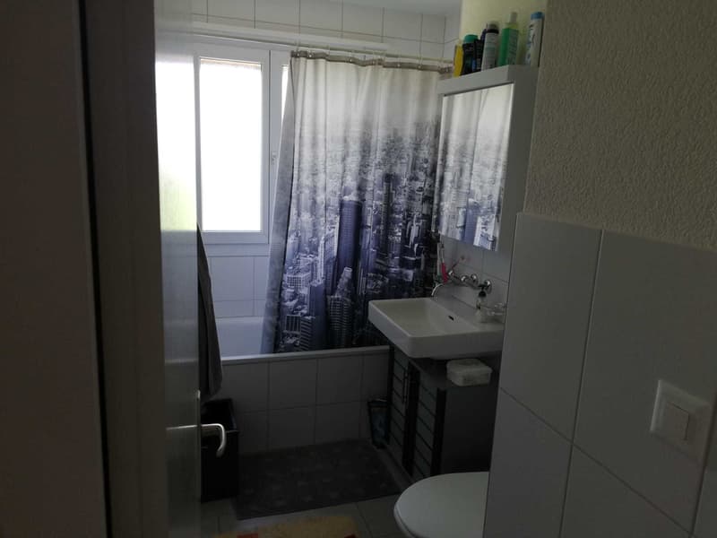 Baño_Buehlweg_8_a.jpg