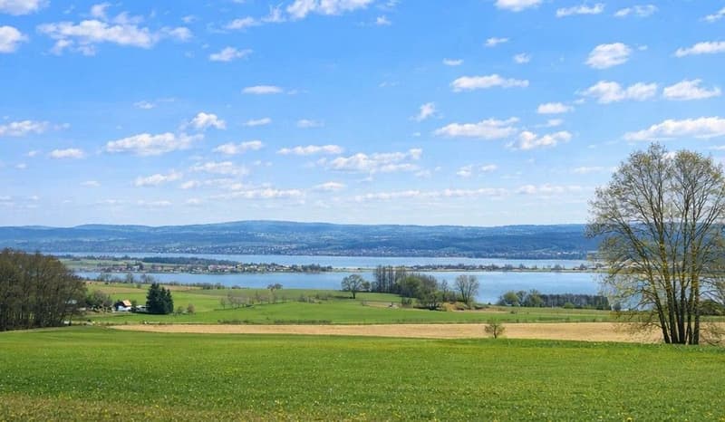 Stilvolles Wohnen in Seenähe (7)
