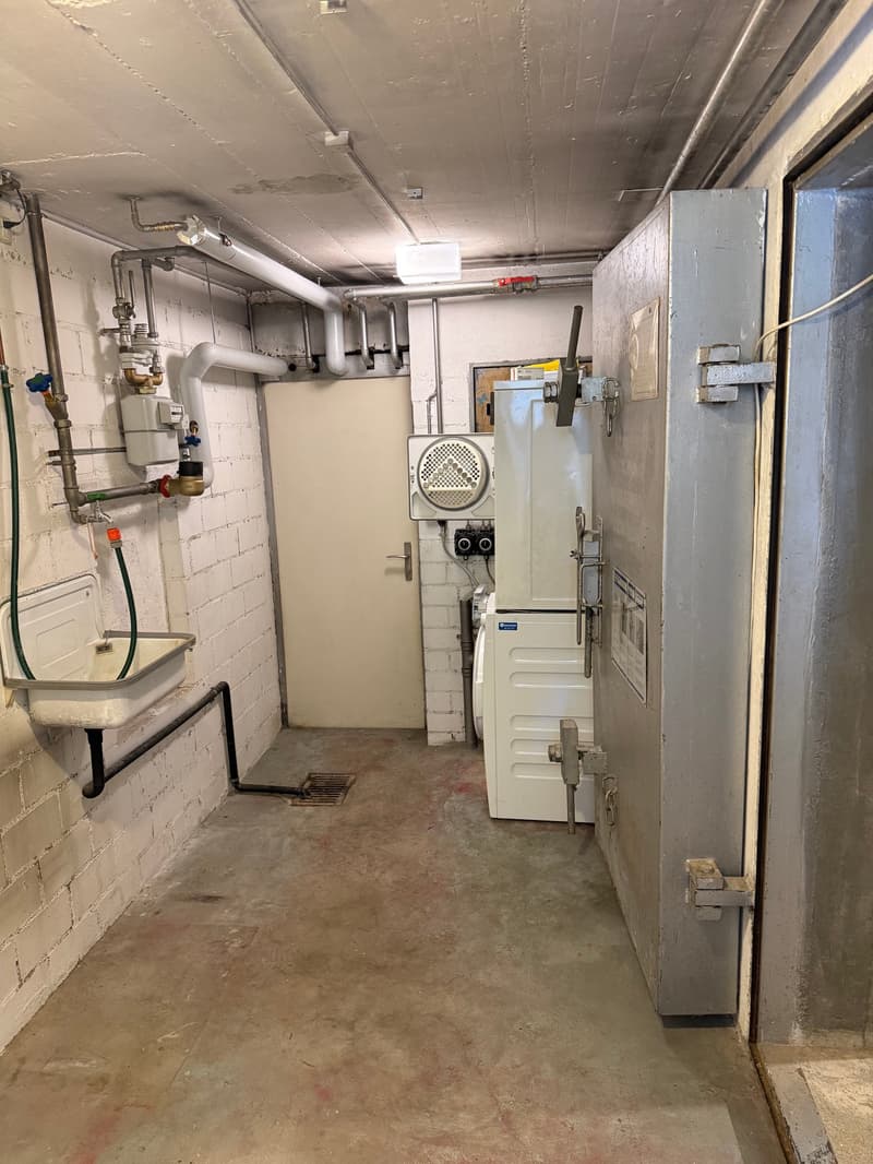 Sonniges 4.5 Zi.-Reihen-EFH mit 2 Gärten & EHP (16)