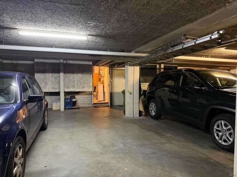 Sonniges 4.5 Zi.-Reihen-EFH mit 2 Gärten & EHP (17)