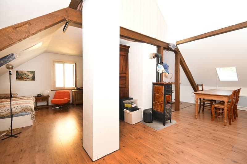 5.5 Zi.-Doppel-EFH mit Ateliergebäude & Werkstatt (12)