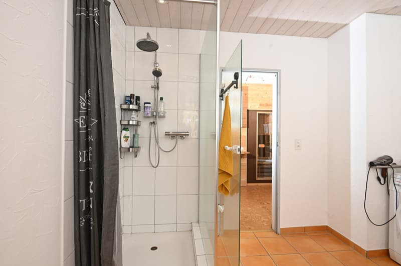 5.5 Zi.-Doppel-EFH mit Ateliergebäude & Werkstatt (10)