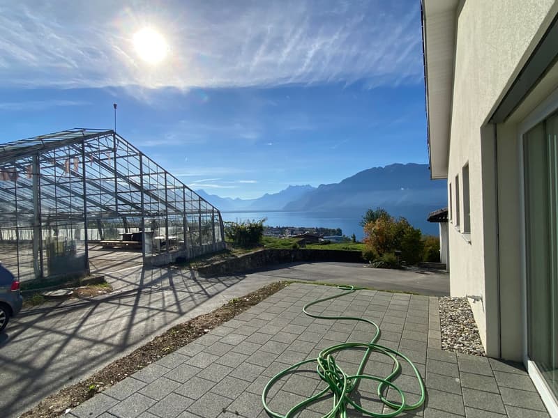 À LOUER À CHARDONNE – Villa jumelée au cœur des vignes (8)