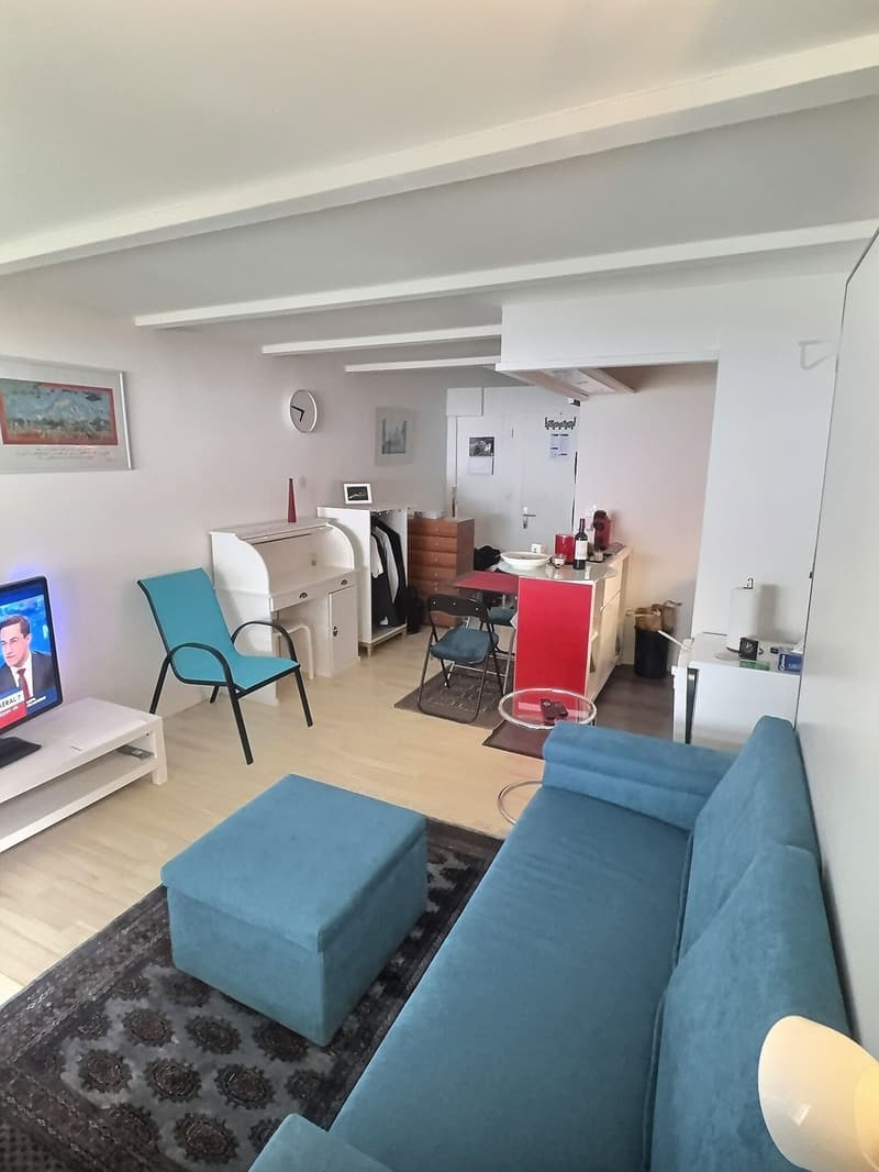 Charmant Studio avec jardin privé (2)