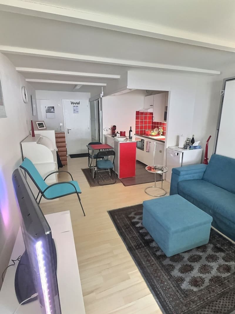 Charmant Studio avec jardin privé (3)