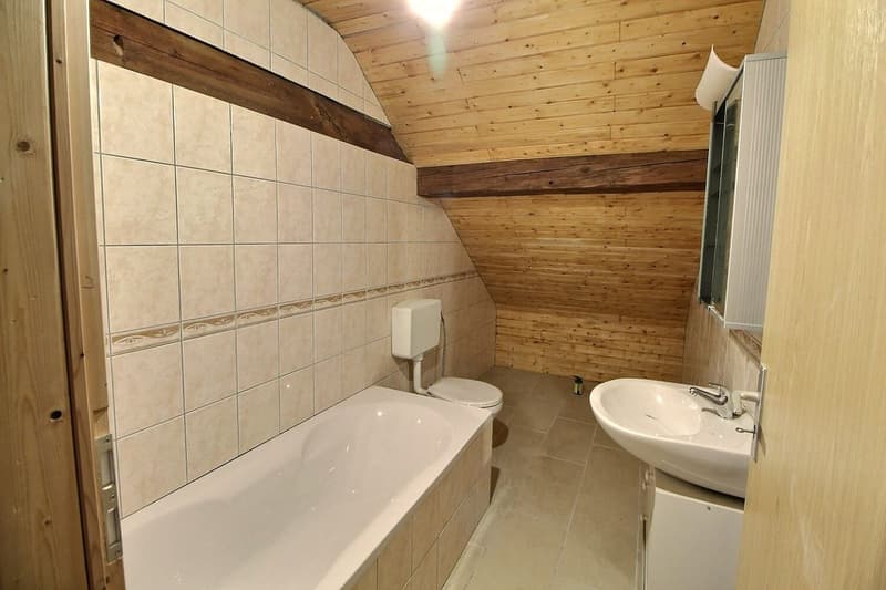 Dans corps de ferme: Grand appartement à finir de rénover (8)